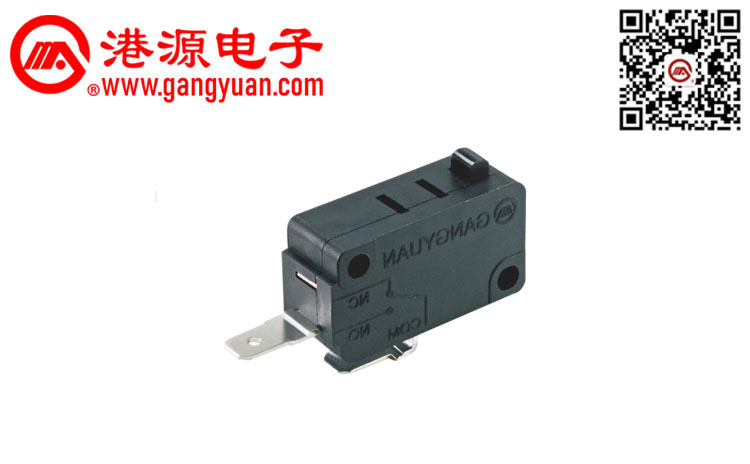 G20-16Ev-150-05微动开关